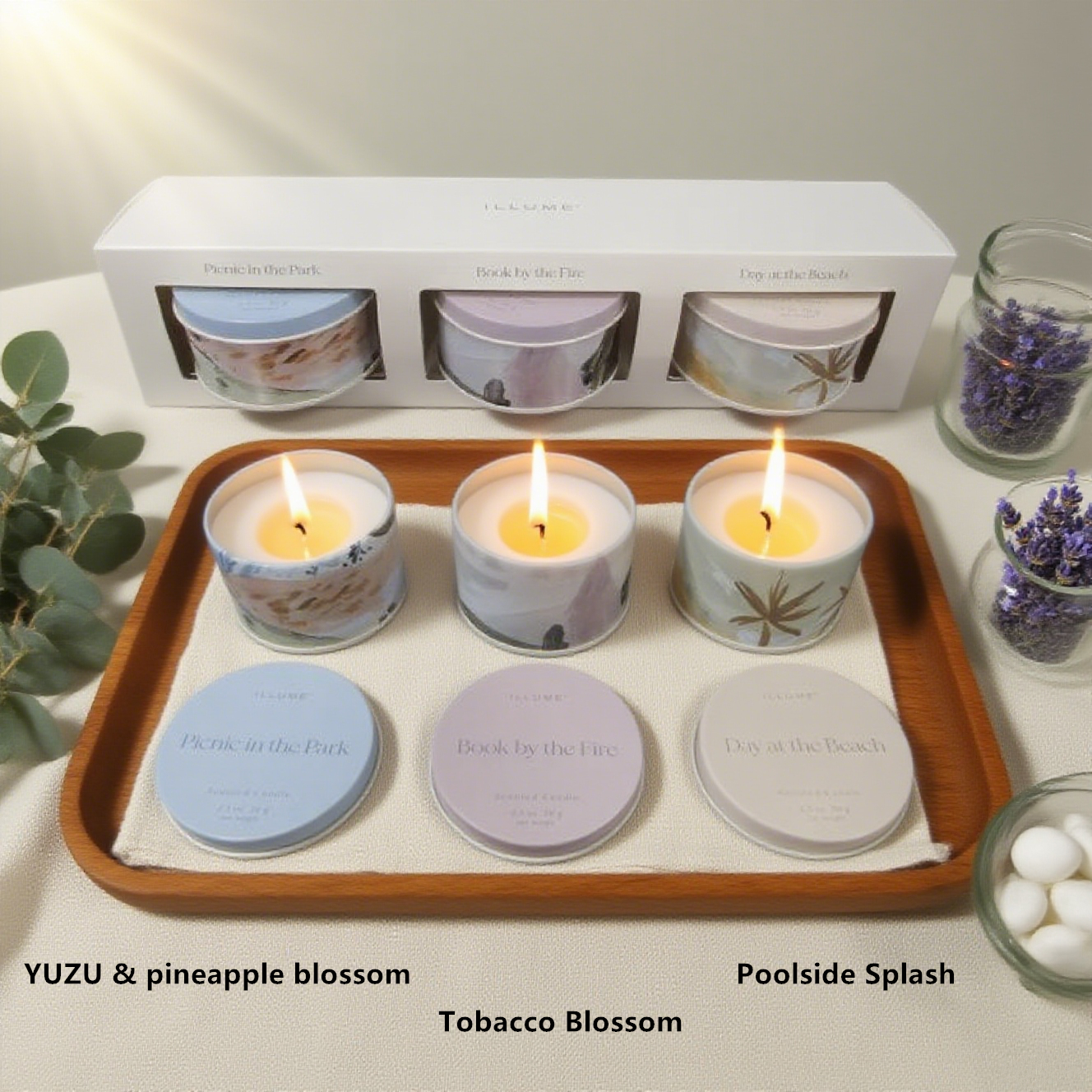 Printed Tin 3-Pack